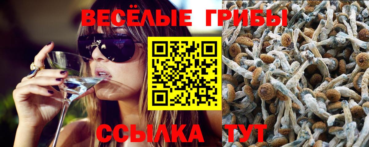 Псилоцибиновые грибы Psilocybe  Галлюциногенные грибы мухоморы  Вход с VPN  Советск 