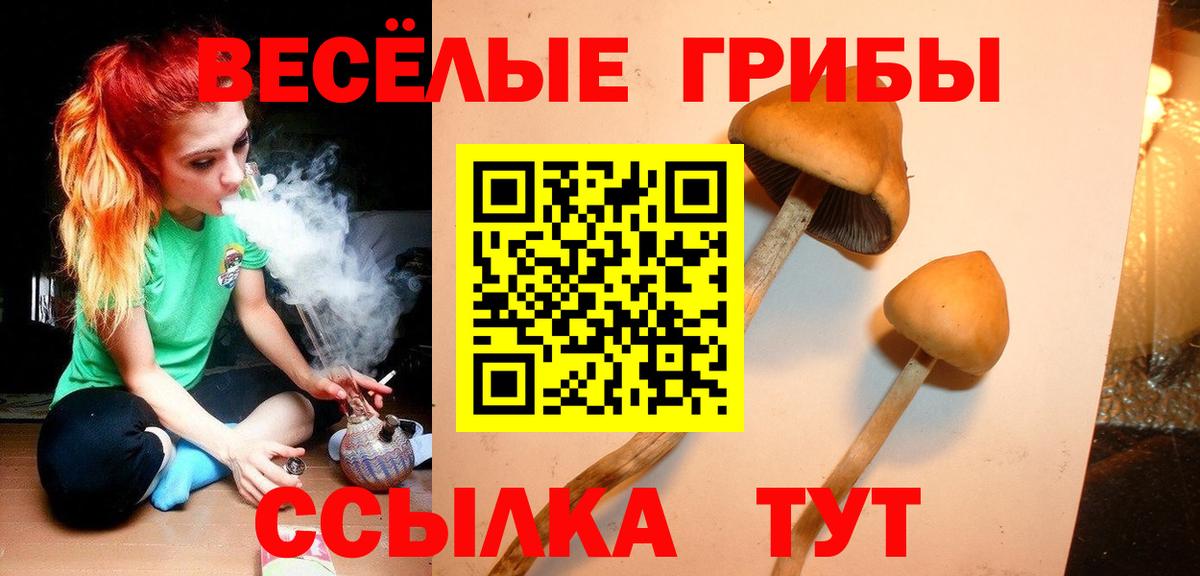 Псилоцибиновые грибы мухоморы Советск